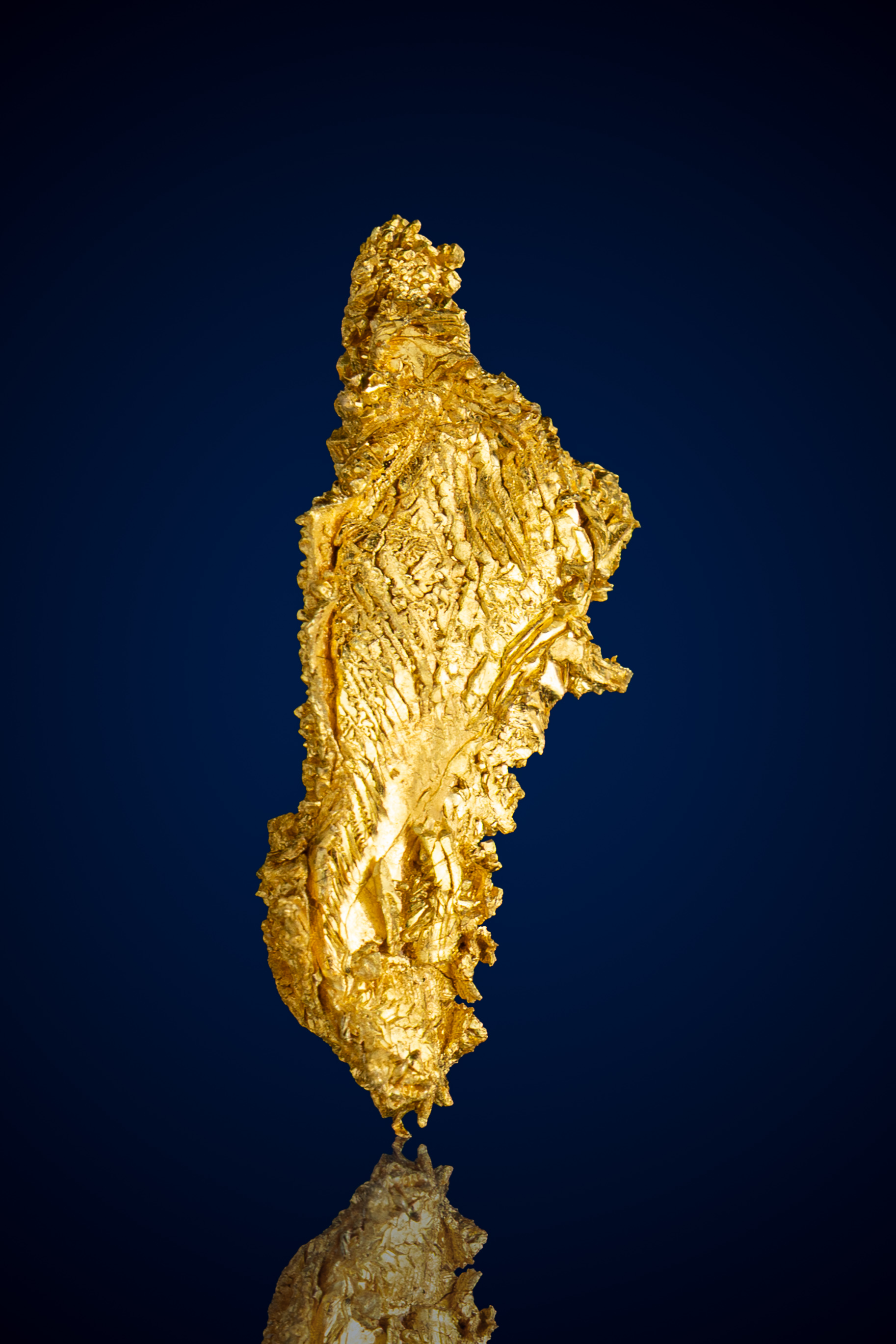 Monumental, Crystallized Natural Gold Nugget - Round Mountain, NV - 3.31 grams (image for) Monumental, Crystallized Natural Gold Nugget - Round Mountain, NV - 3.31 grams